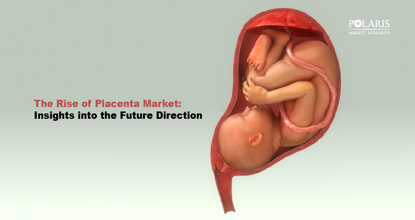 The Rise of Placenta Market: Insights into the Future Direction